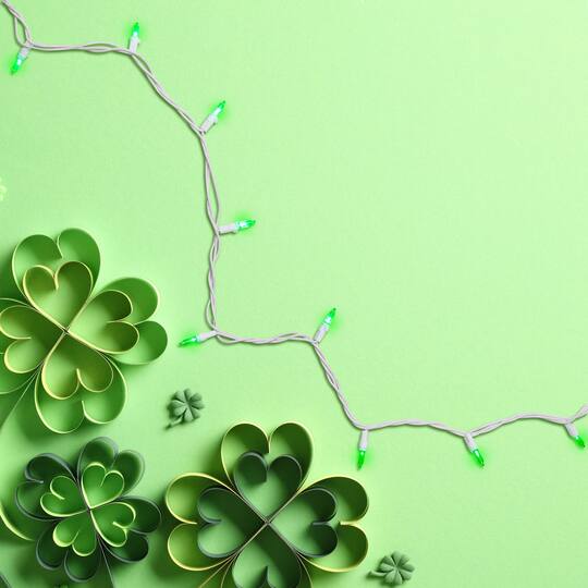 50ct. Mini LED Christmas Lights